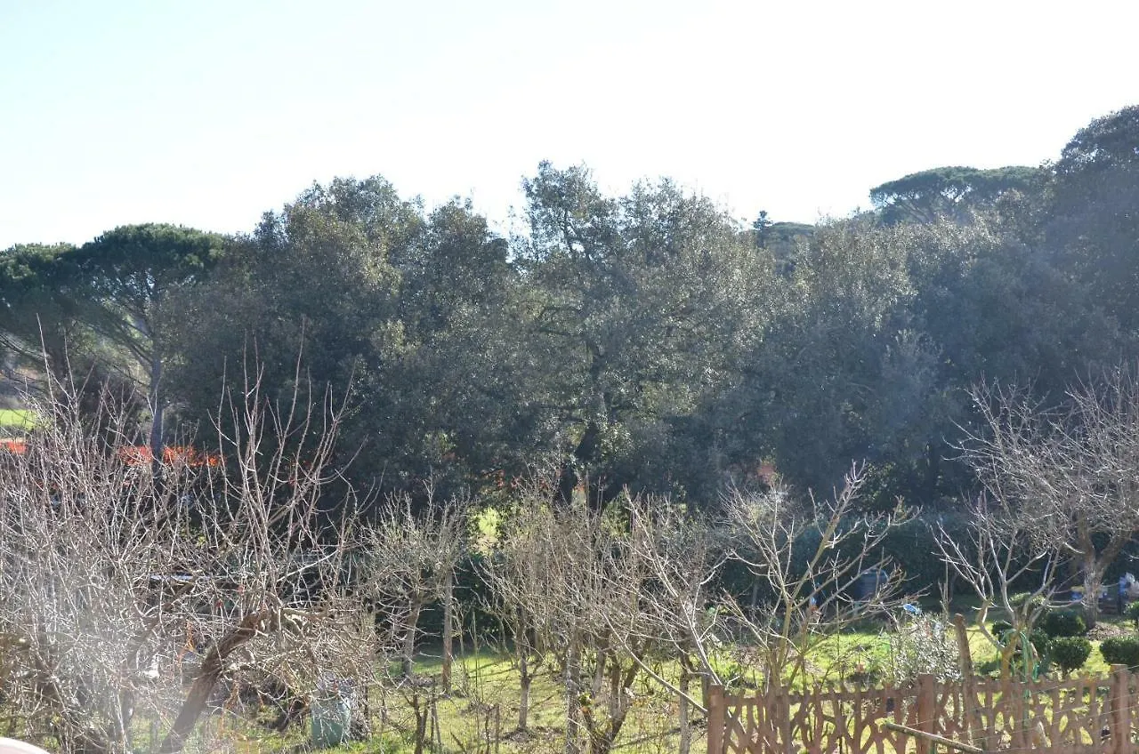 Holiday home La Rinascita Villa Crespina